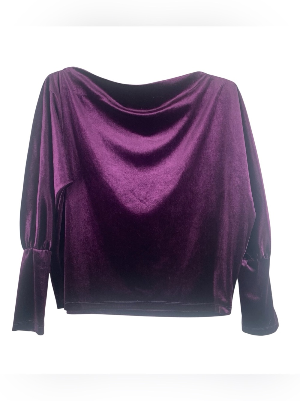 Boston Proper Plum Purple Velvet Boat Neck Top, Large, Whimsigoth Dark Academia